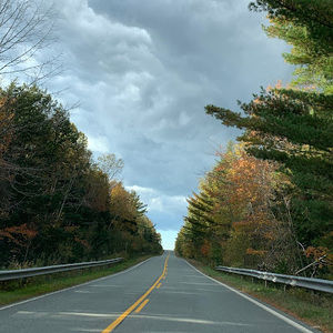 Meet your Posher, Simone